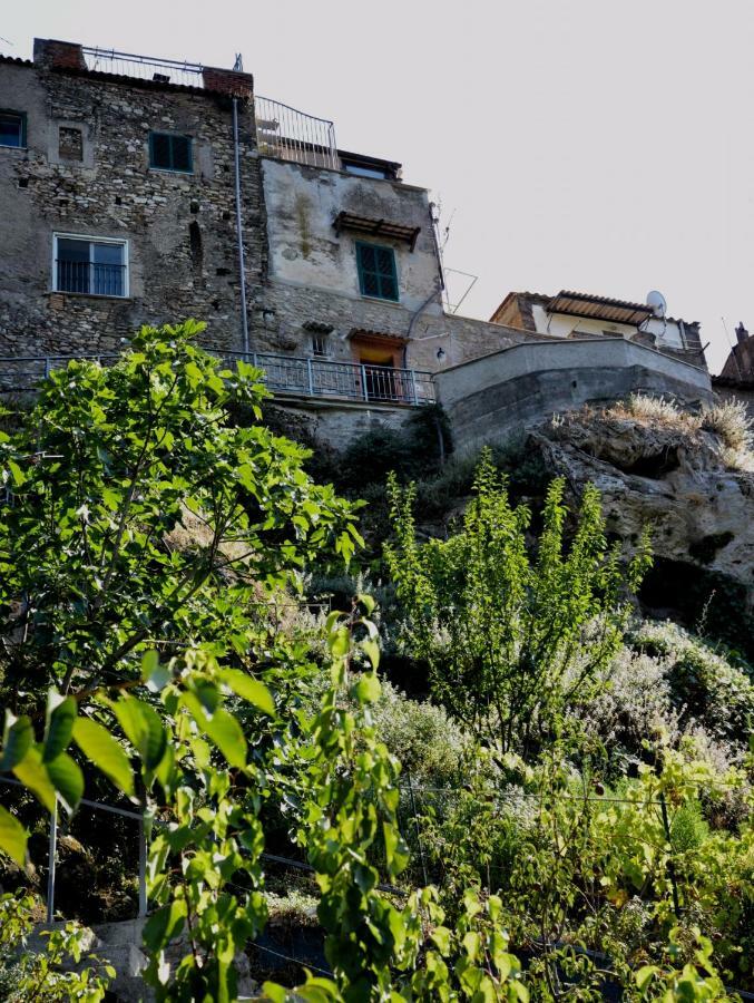 Domus Eva, Dove E Nata Tivoli Appartement Buitenkant foto